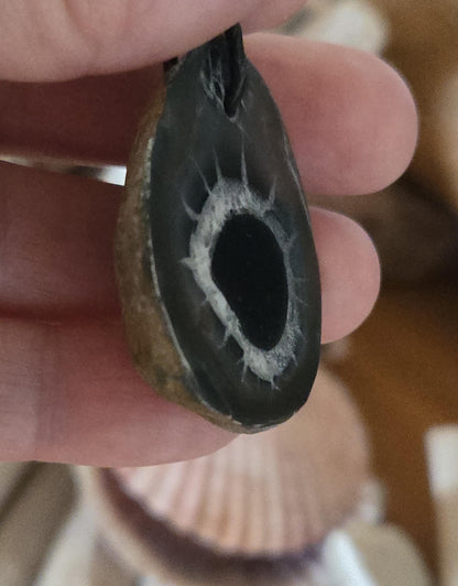 Seltener Septarie Stein, Drachen Stein, Drachenei, Fossil fossiler Schmuck Anhänger, 39 x 32 x 11 mm, gebohrt, an verstellbarem Lederband