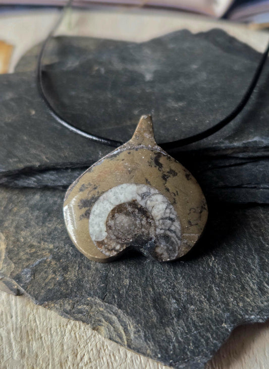 Ammonit Fossil versteinert, 33 x 30 x 10 mm, gebohrt, an verstellbarem Lederband, 360 Millionen Jahre alt