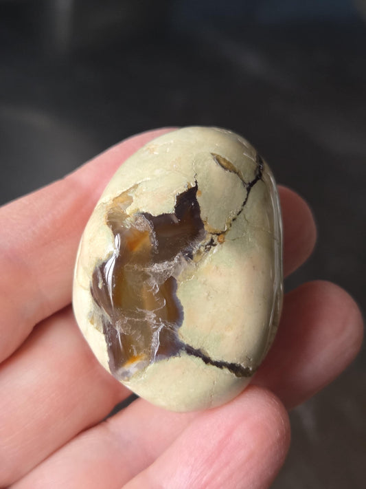 Australischer Amulettstein Thunderegg, Donnerei , Sammlerstein, 40 x 30 x 25 mm, 43,02 g., 225,05 ct.