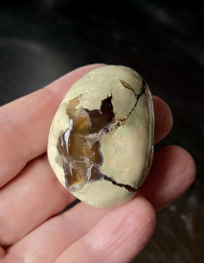 Australischer Amulettstein Thunderegg, Donnerei , Sammlerstein, 40 x 30 x 25 mm, 43,02 g., 225,05 ct.