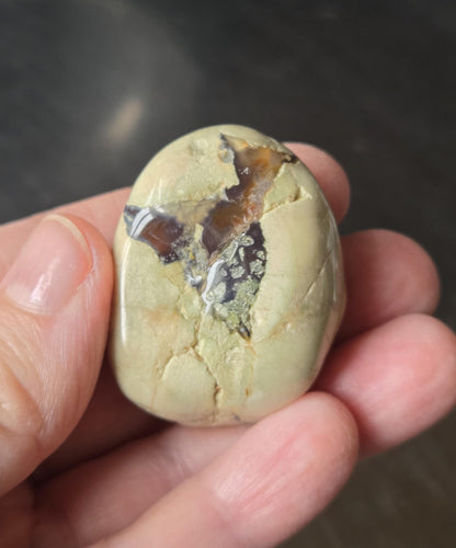 Australischer Amulettstein Thunderegg, Donnerei , Sammlerstein, 40 x 30 x 25 mm, 43,02 g., 225,05 ct.
