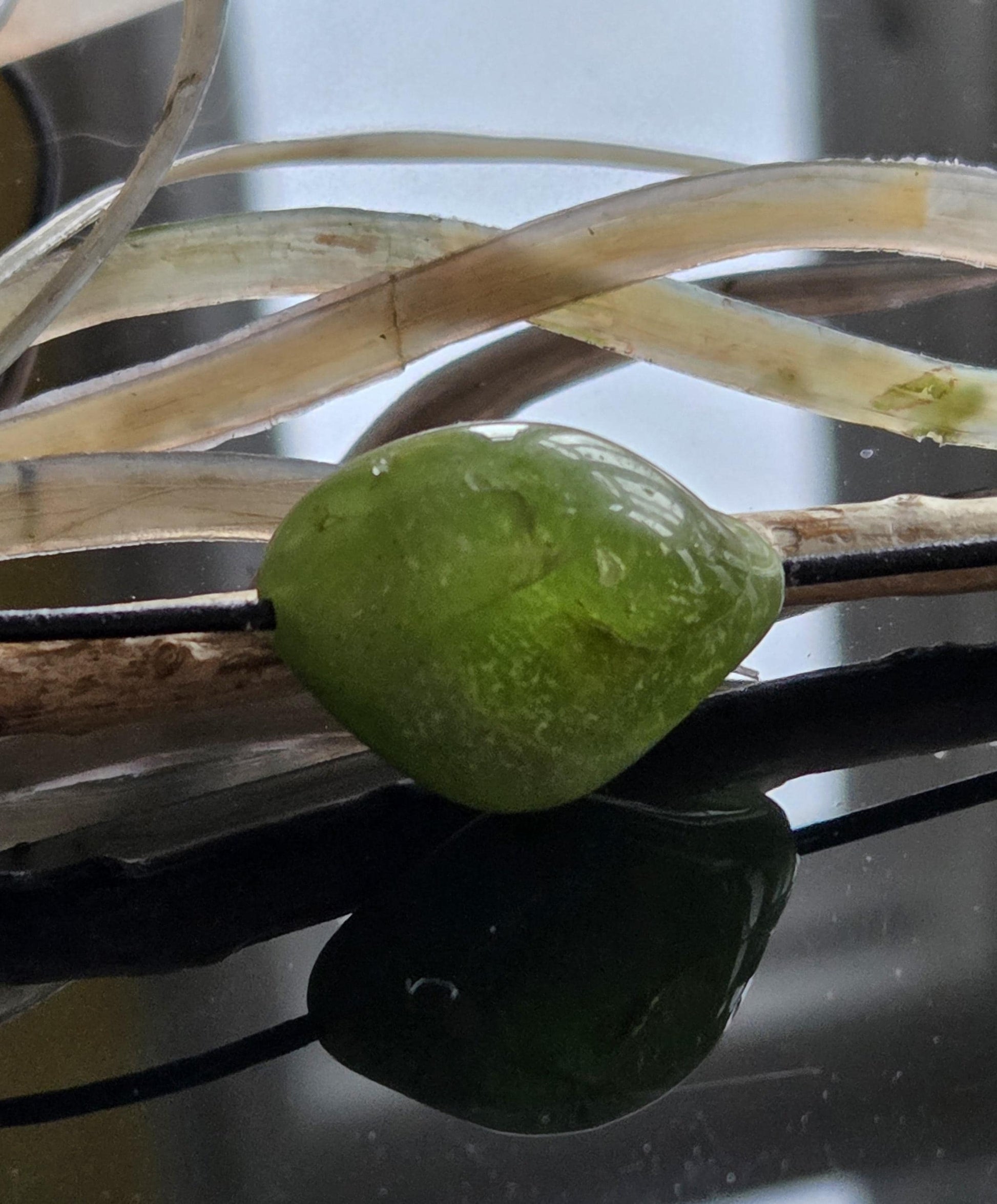 Peridot Olivin Chrysolith Anhänger, 20 x 27 x 15 mm , gebohrt, an verstellbarem Lederband