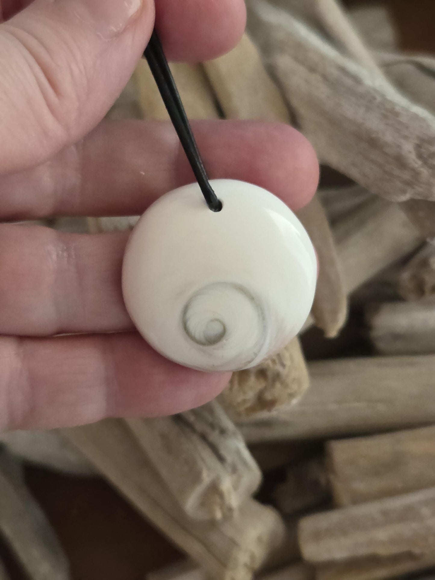 Shivas Auge Operculum großer Anhänger 31 x 8 mm , gebohrt an verstellbarem Lederband