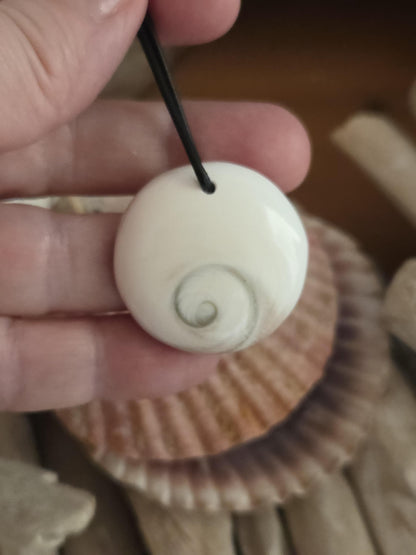 Shivas Auge Operculum großer Anhänger 31 x 8 mm , gebohrt an verstellbarem Lederband