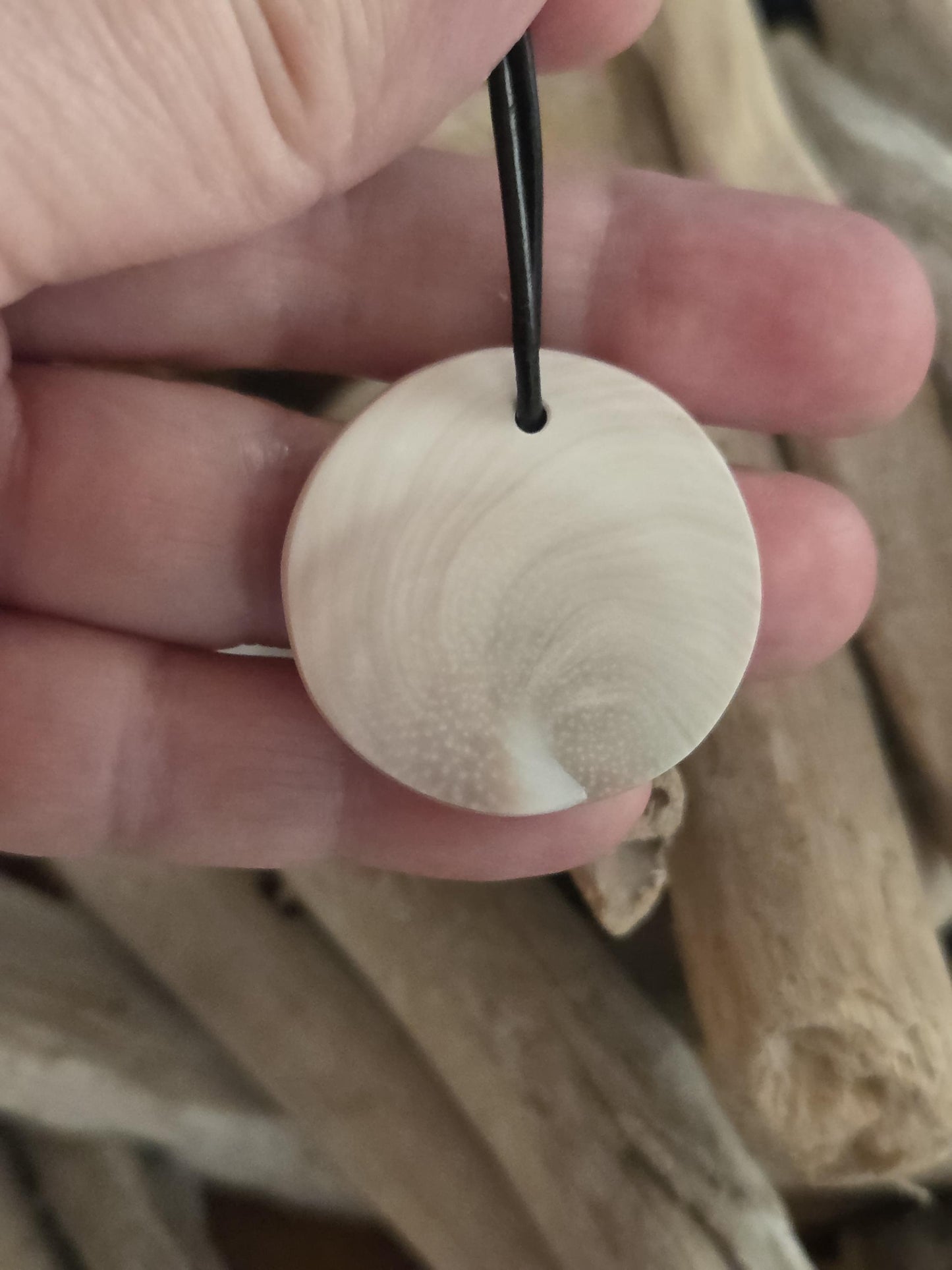 Shivas Auge Operculum großer Anhänger 31 x 8 mm , gebohrt an verstellbarem Lederband