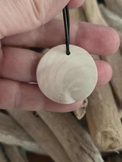 Shivas Auge Operculum großer Anhänger 31 x 8 mm , gebohrt an verstellbarem Lederband