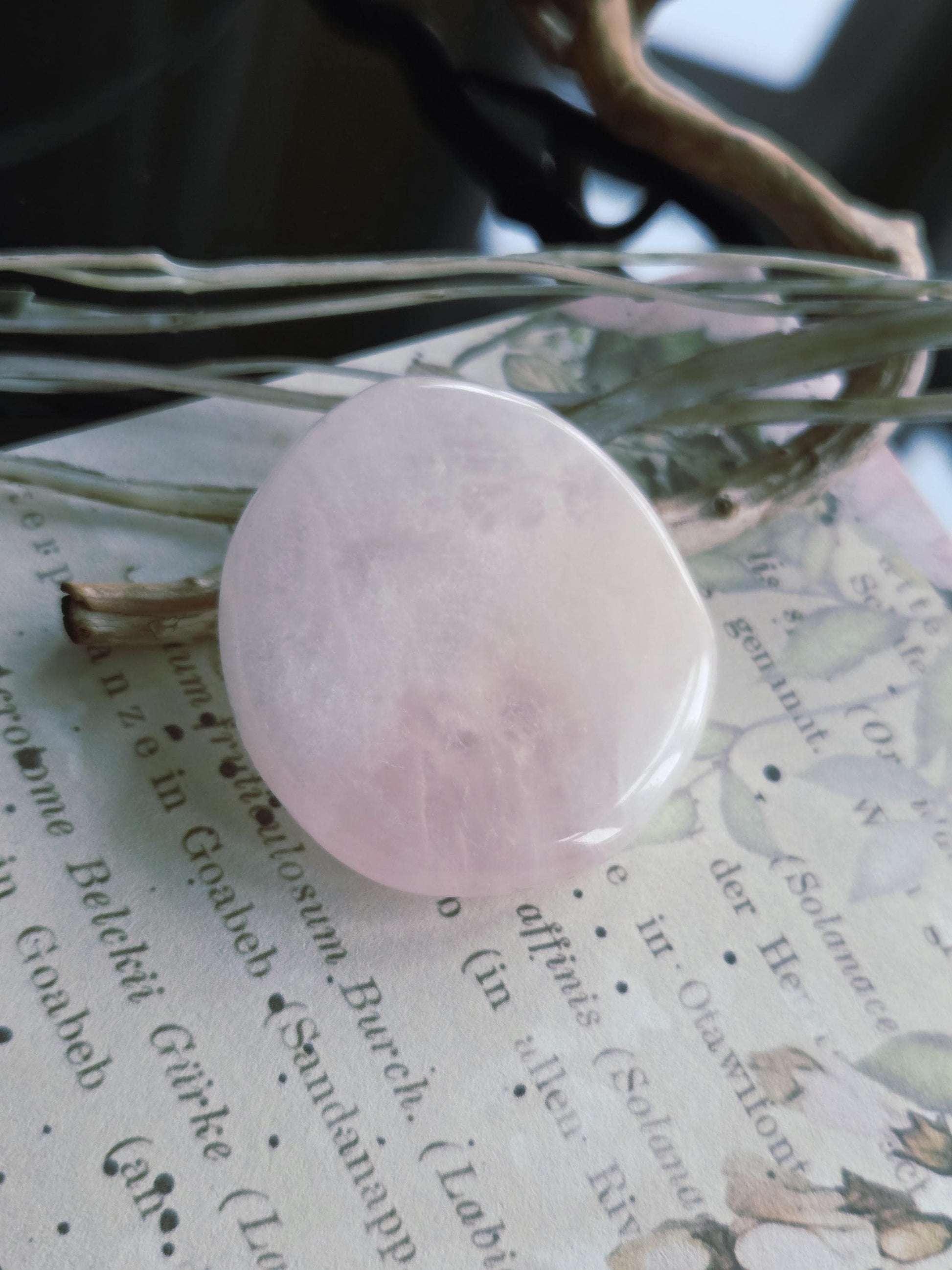 Rosenquarz Scheibe rund Massagestein Heilstein Sammlerstein Handschmeichler, etisch hochwertig, 45 x 45 x 11 mm, 37,19 g., 185,95 ct.