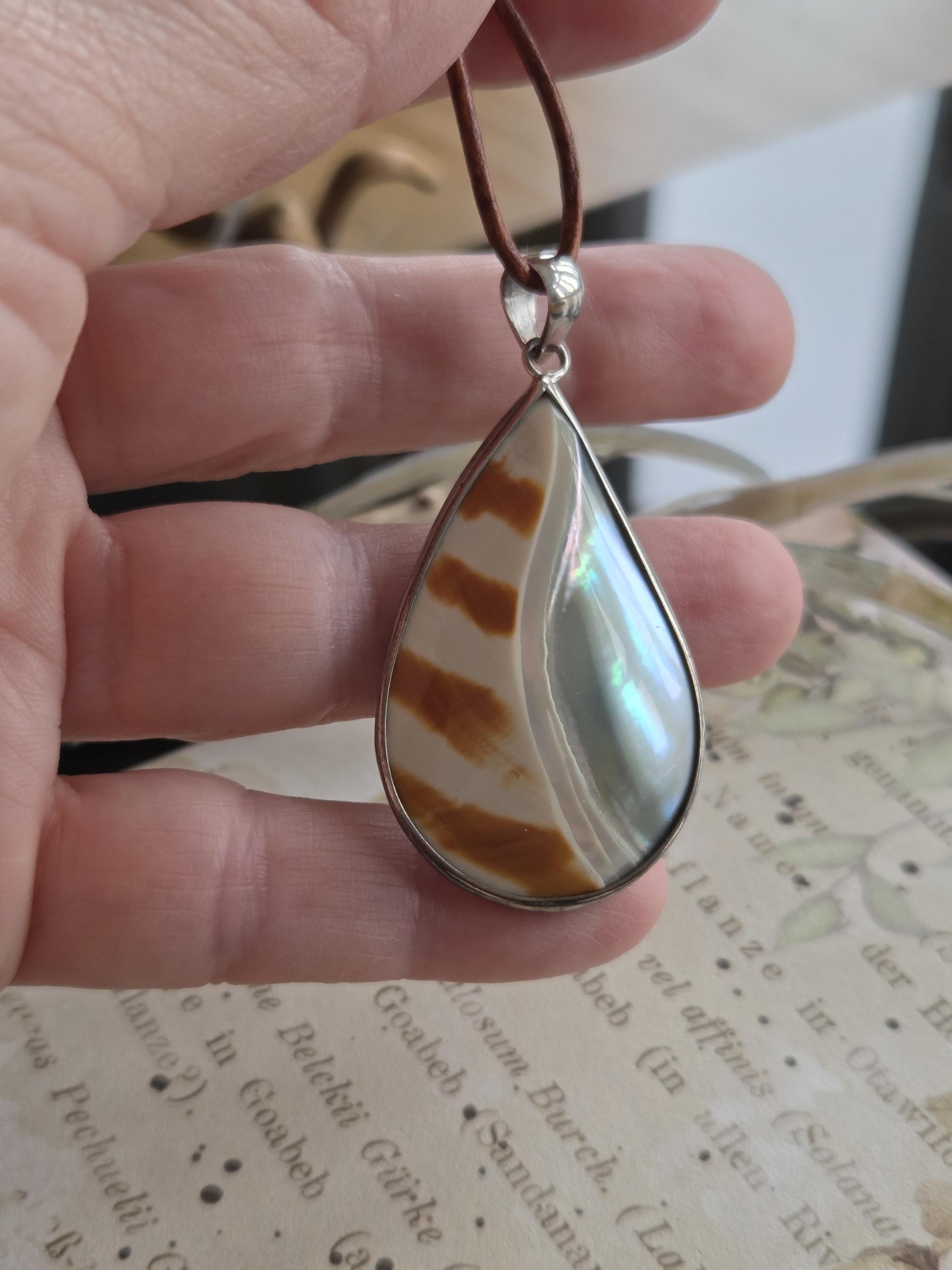 Nautilus Muschel, Nautilus Schnecke, Anhänger in 925er Silberfassung, an verstellbarem Lederband, 53 x 28 x 7 mm