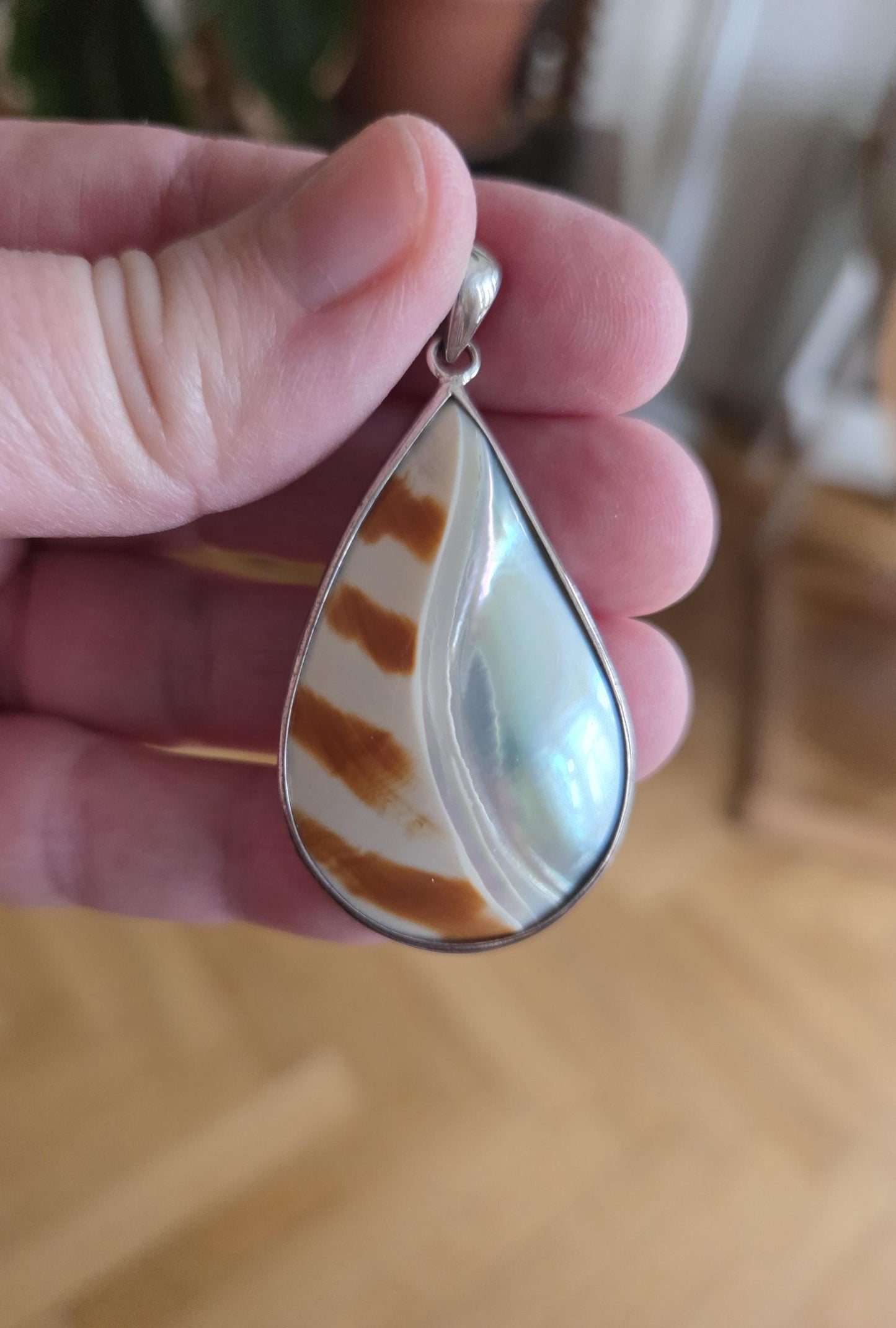 Nautilus Muschel, Nautilus Schnecke, Anhänger in 925er Silberfassung, an verstellbarem Lederband, 53 x 28 x 7 mm