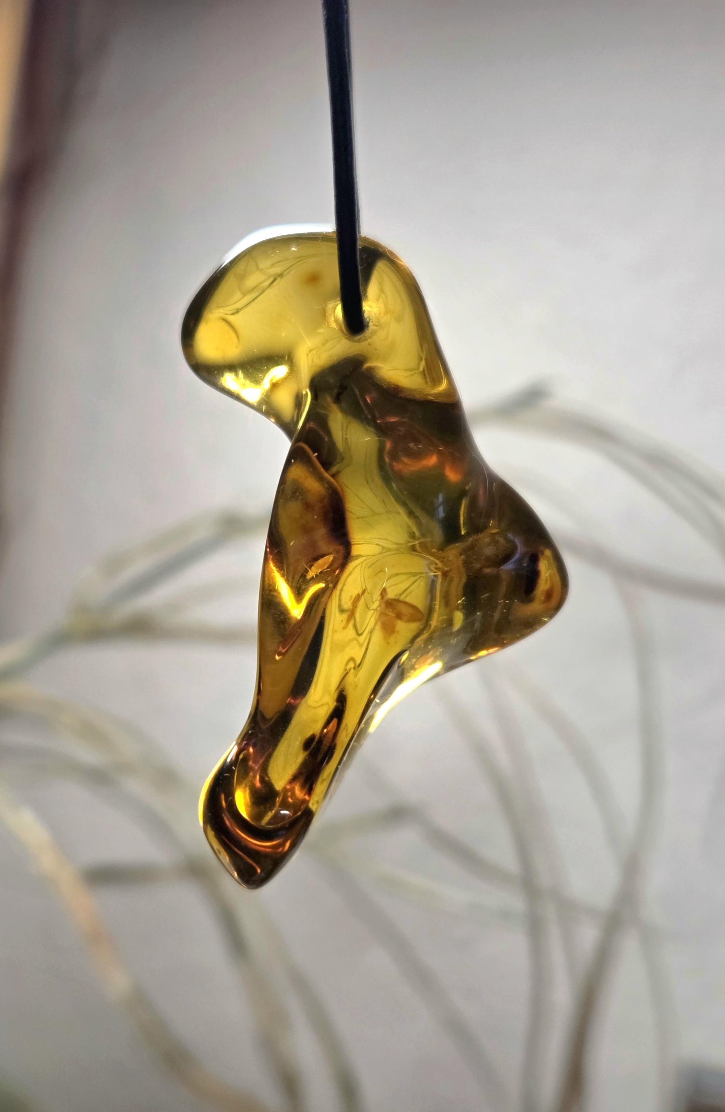 Großer feiner baltischer Bernstein Anhänger, mit Einschlüssen von Blüten Bernstein Amulett, 52 x 24 x 23 mm, an verstellbarem Lederband