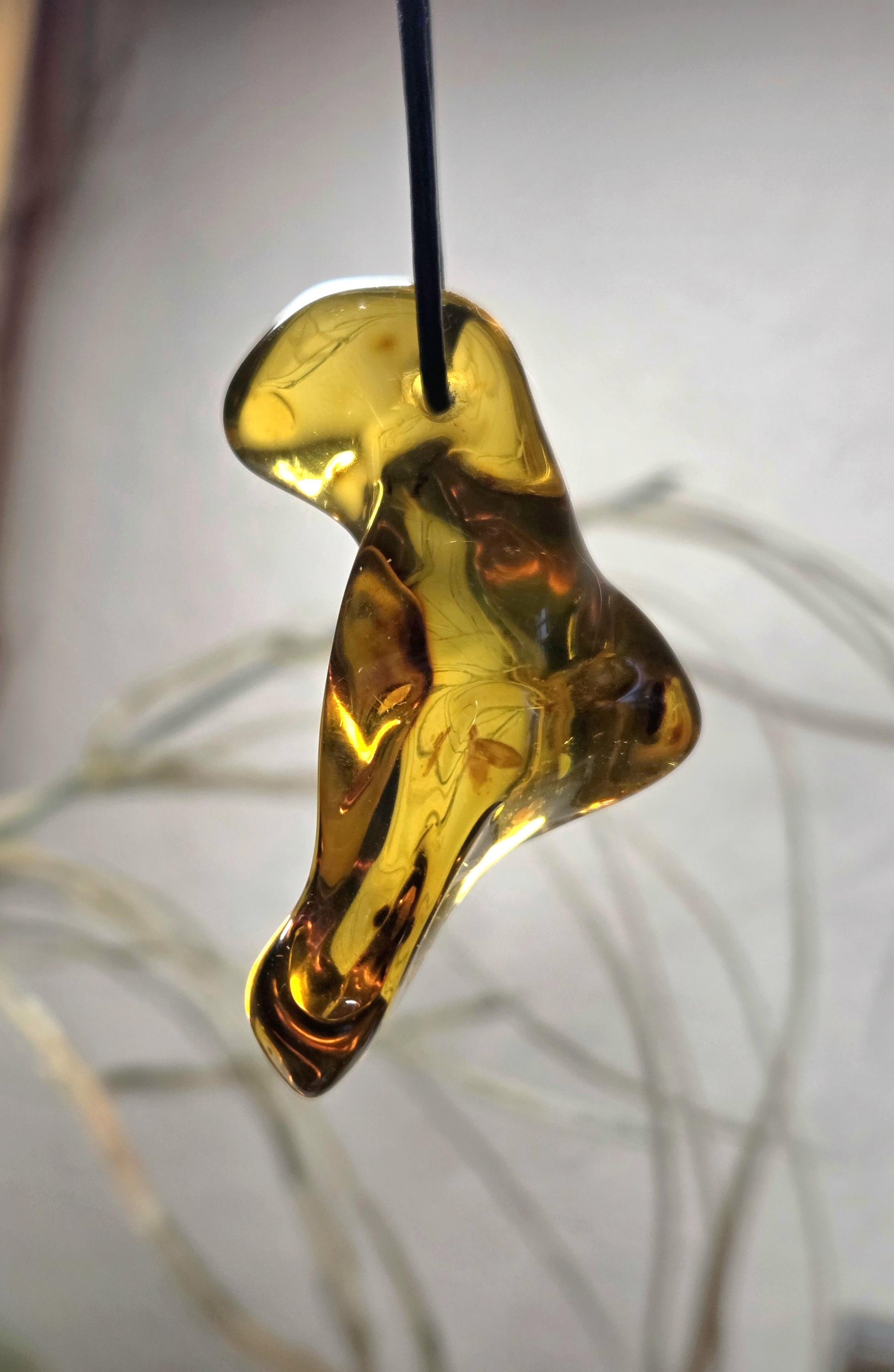 Großer feiner baltischer Bernstein Anhänger, mit Einschlüssen von Blüten Bernstein Amulett, 52 x 24 x 23 mm, an verstellbarem Lederband