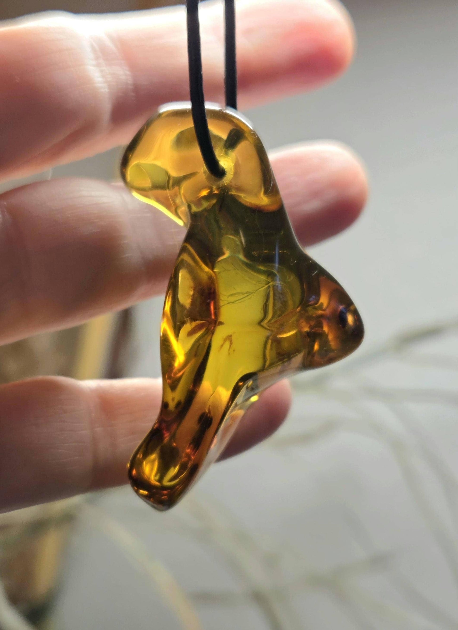 Großer feiner baltischer Bernstein Anhänger, mit Einschlüssen von Blüten Bernstein Amulett, 52 x 24 x 23 mm, an verstellbarem Lederband