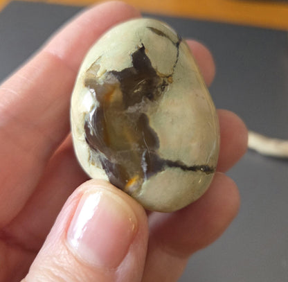 Australischer Amulettstein Thunderegg, Donnerei , Sammlerstein, 40 x 30 x 25 mm, 43,02 g., 225,05 ct.