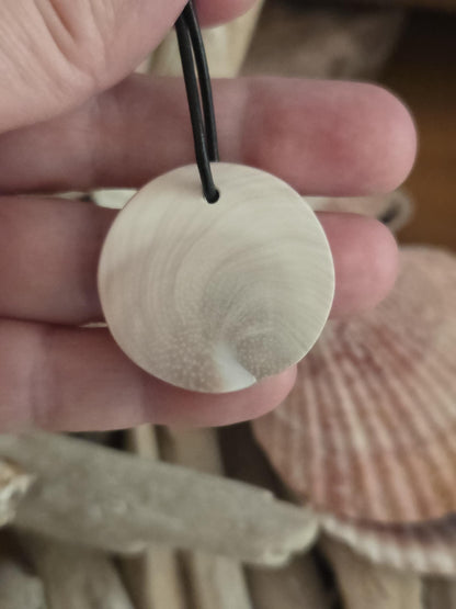 Shivas Auge Operculum großer Anhänger 31 x 8 mm , gebohrt an verstellbarem Lederband