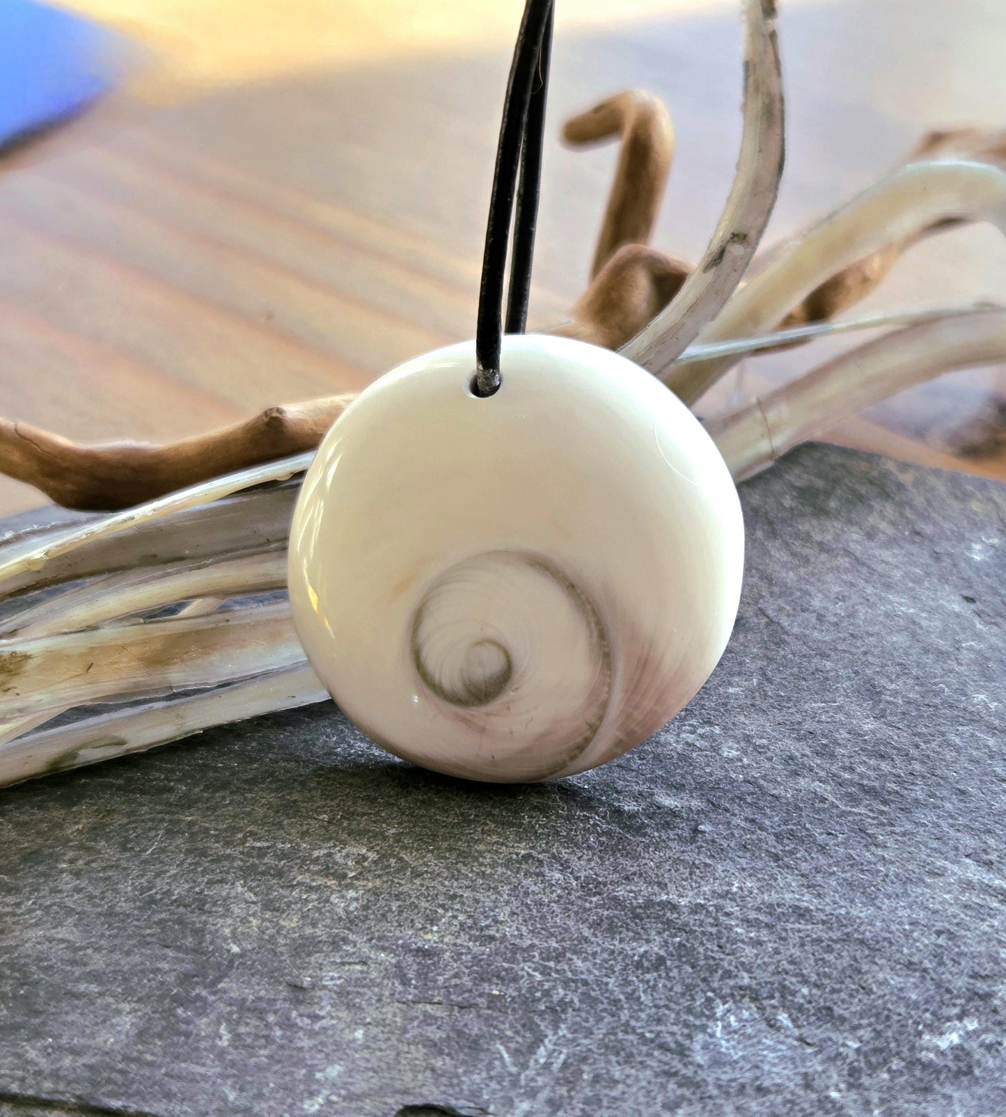 Shivas Auge Operculum großer Anhänger 31 x 8 mm , gebohrt an verstellbarem Lederband