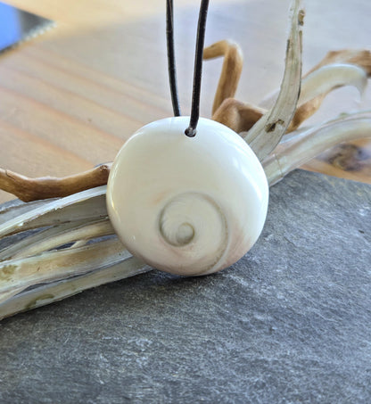 Shivas Auge Operculum großer Anhänger 31 x 8 mm , gebohrt an verstellbarem Lederband