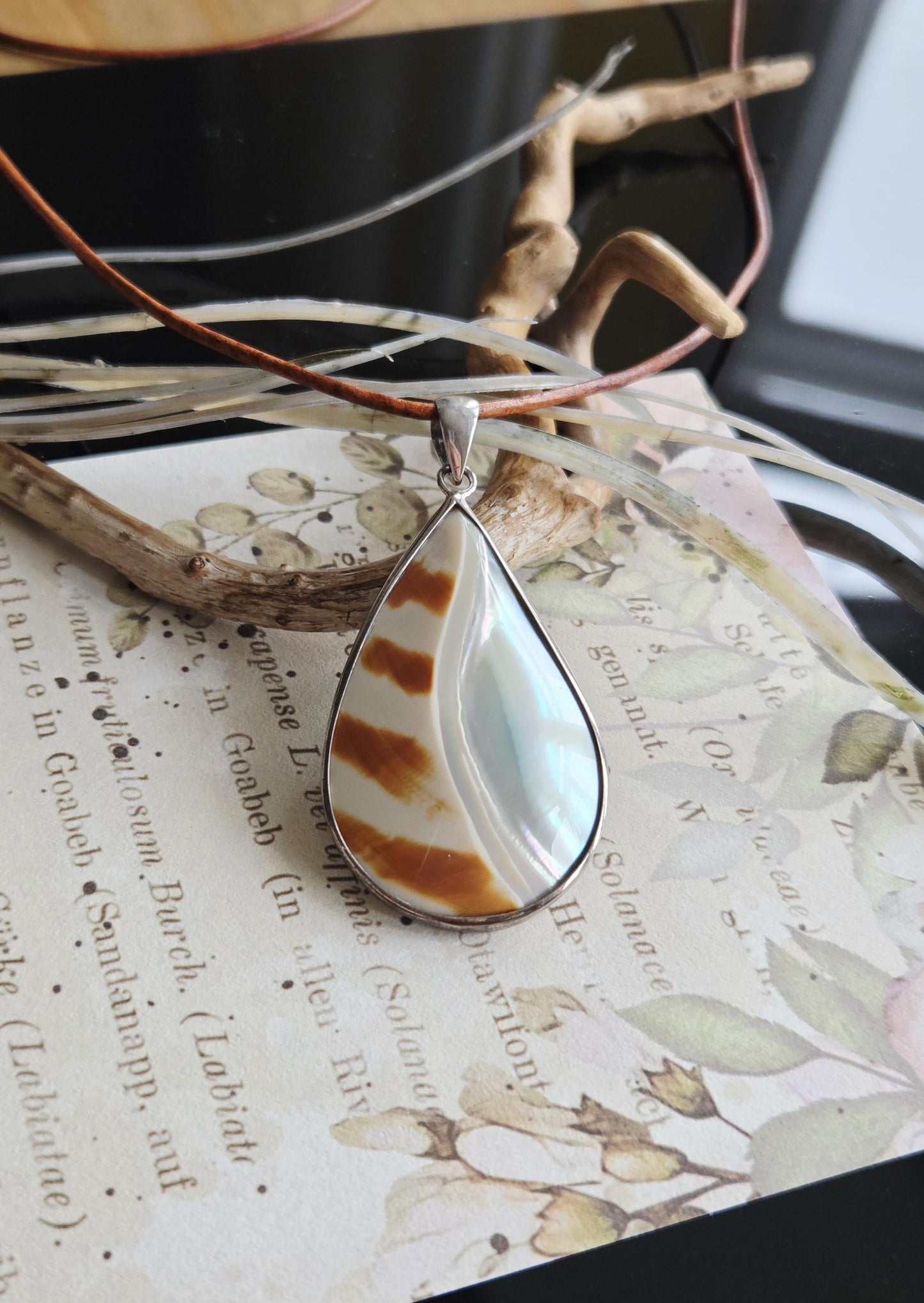 Nautilus Muschel, Nautilus Schnecke, Anhänger in 925er Silberfassung, an verstellbarem Lederband, 53 x 28 x 7 mm