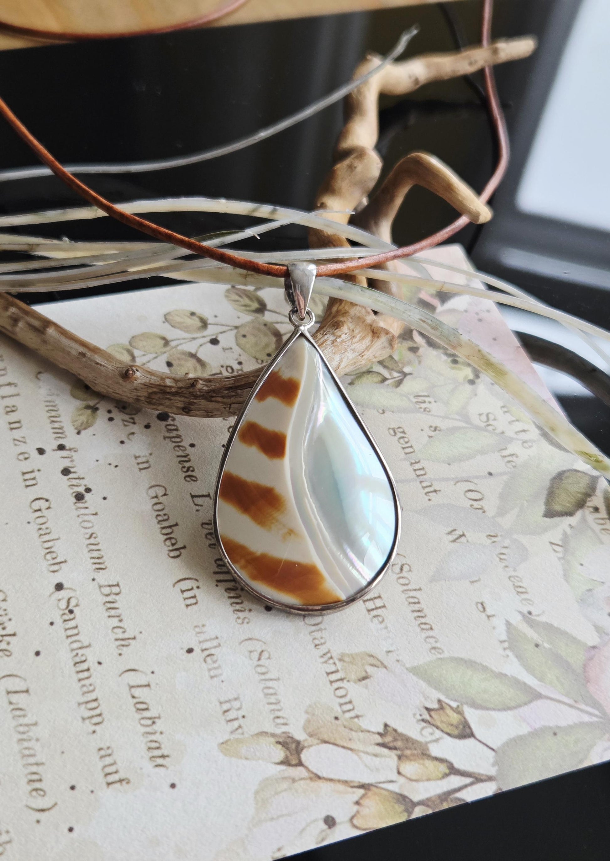 Nautilus Muschel, Nautilus Schnecke, Anhänger in 925er Silberfassung, an verstellbarem Lederband, 53 x 28 x 7 mm