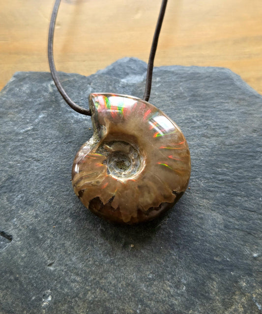 Ammolith Ammonit opalisiert Anhänger, 39 x 33 x 12 mm, gebohrt, an verstellbarem Lederband