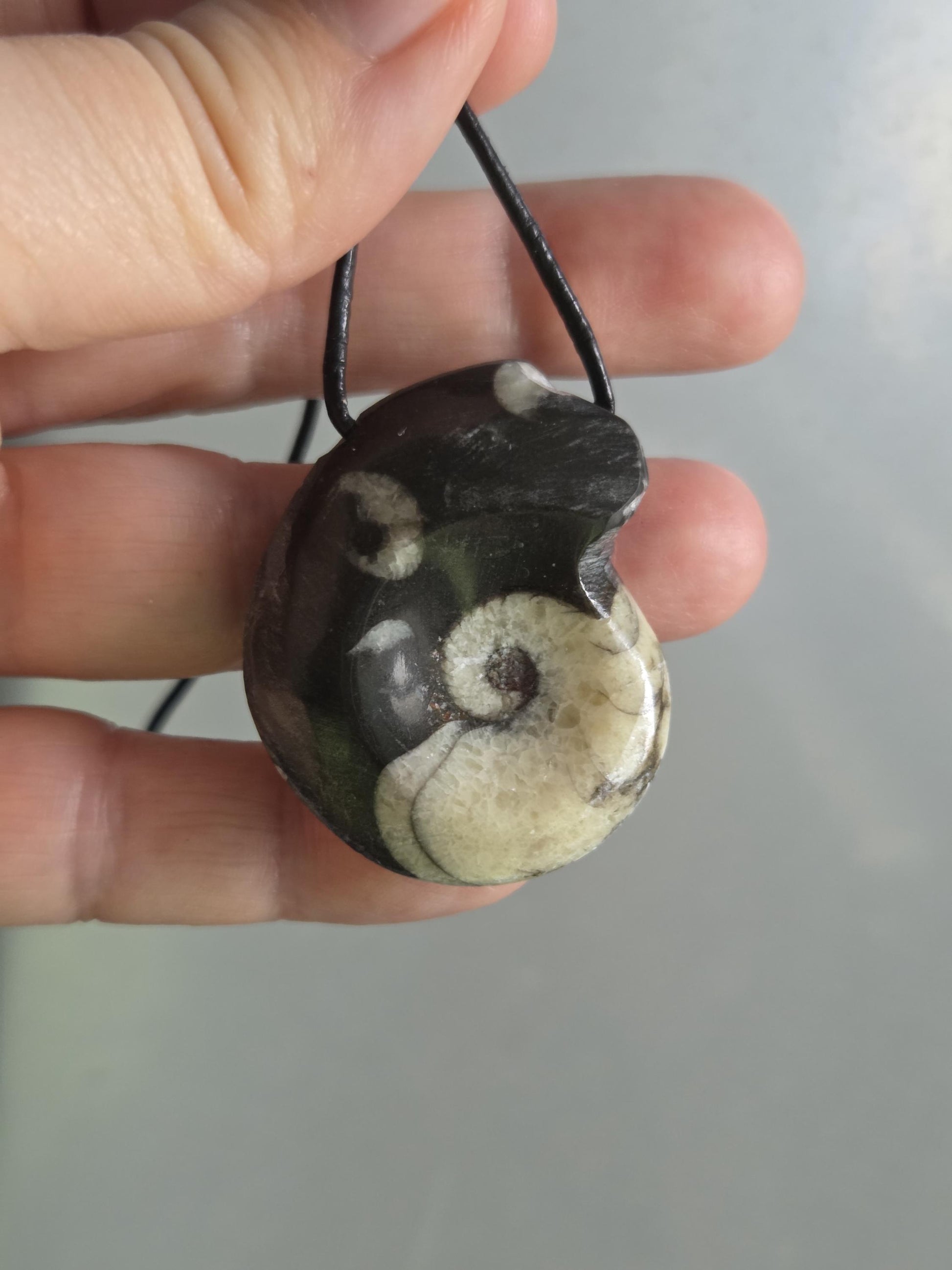 Wunderschöner Ammonit Fossil , Goniatit, Anhänger, 40 x 33 x 12 mm, gebohrt, an verstellbarem Lederband