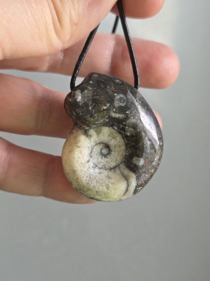 Wunderschöner Ammonit Fossil , Goniatit, Anhänger, 40 x 33 x 12 mm, gebohrt, an verstellbarem Lederband