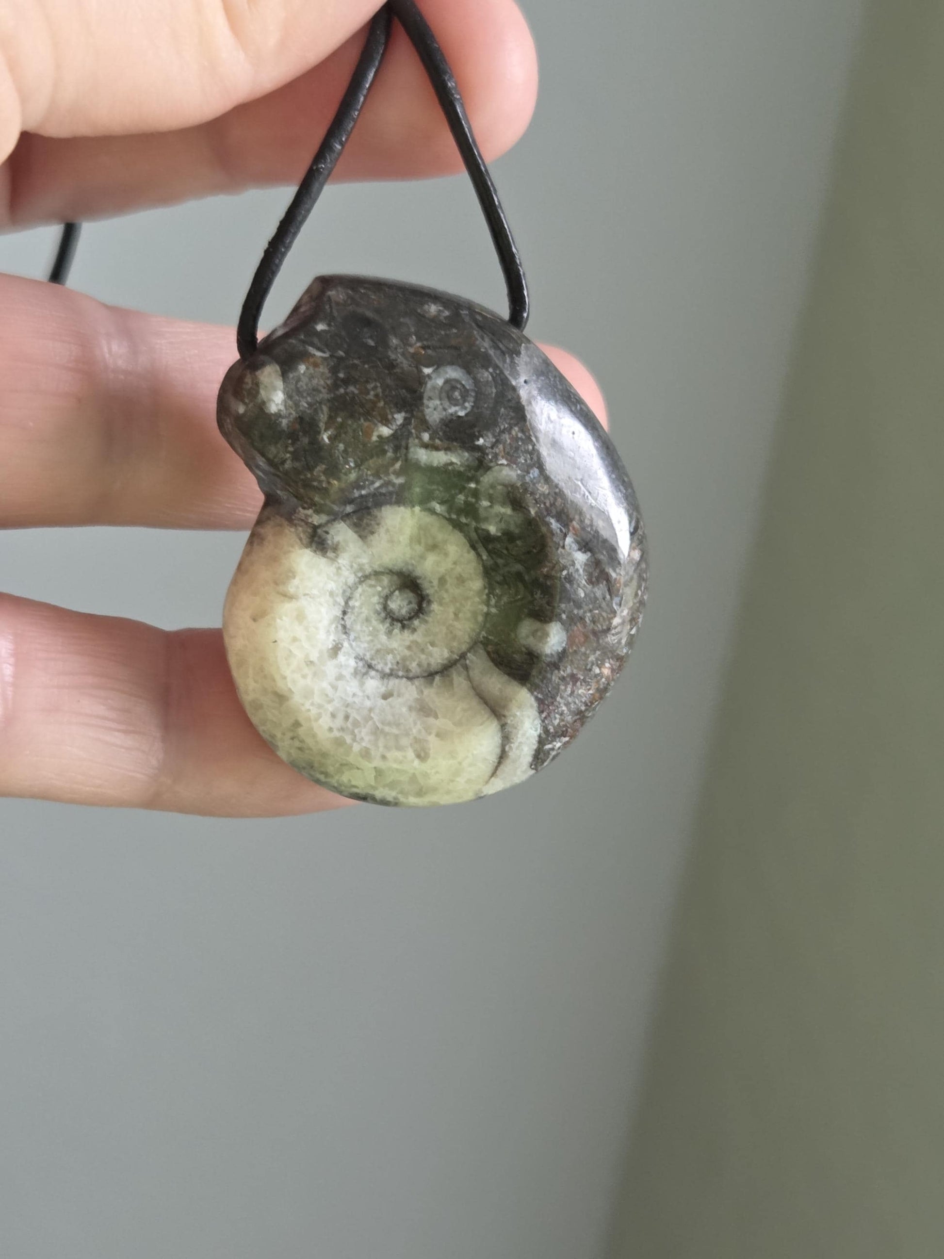 Wunderschöner Ammonit Fossil , Goniatit, Anhänger, 40 x 33 x 12 mm, gebohrt, an verstellbarem Lederband