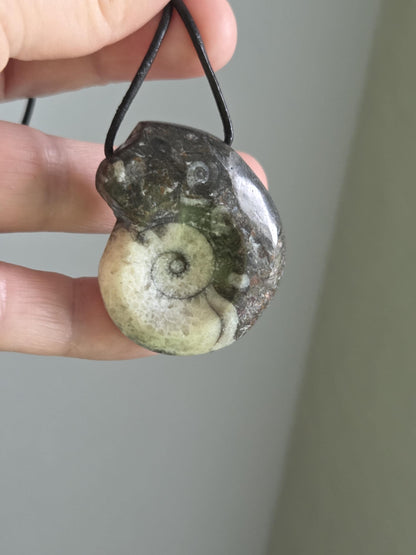 Wunderschöner Ammonit Fossil , Goniatit, Anhänger, 40 x 33 x 12 mm, gebohrt, an verstellbarem Lederband