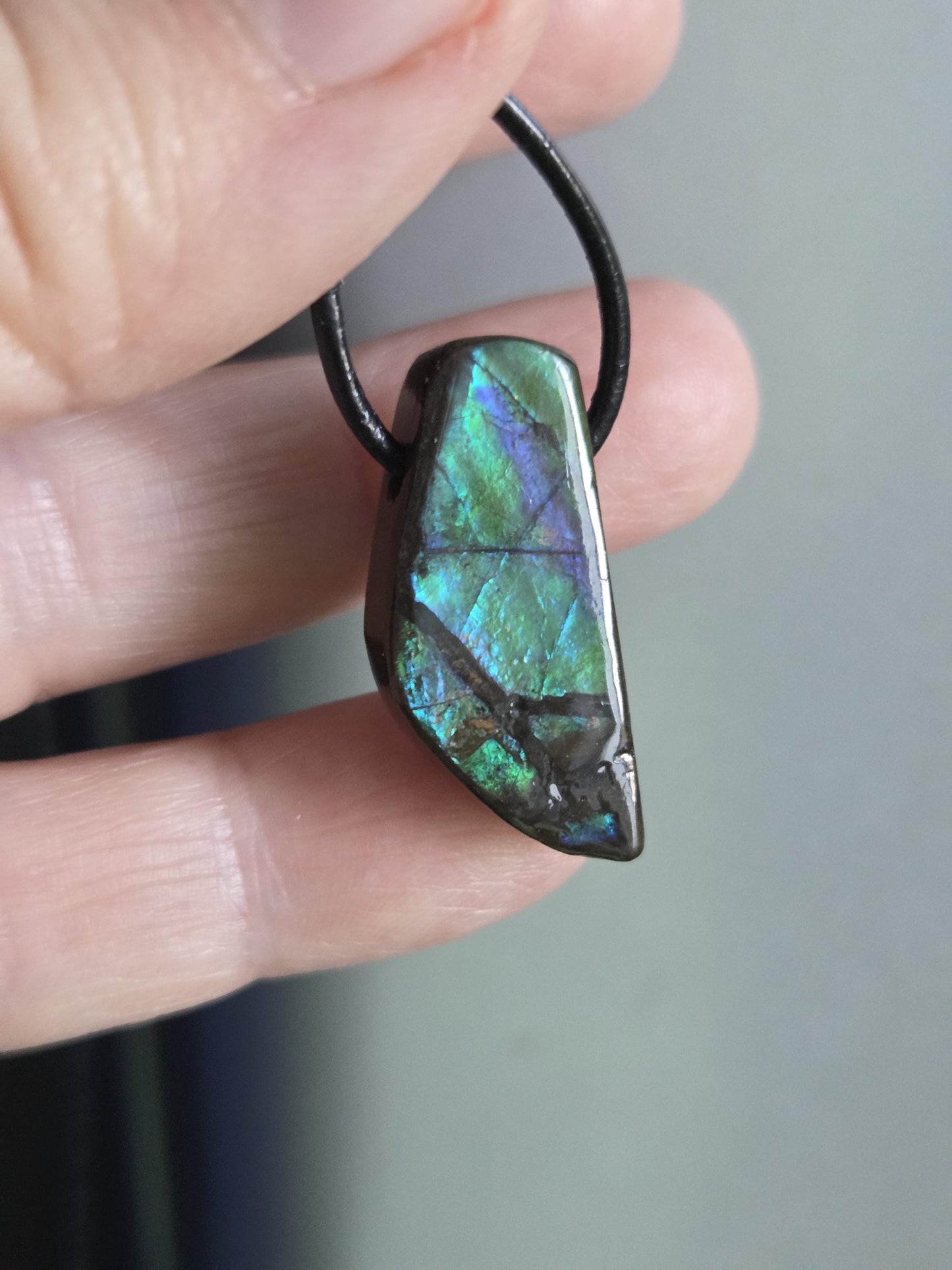 Kleiner feiner Ammolit Opal Anhänger blau grün , aus Kanada, 28 x 12 x 8 mm, gebohrt, an verstellbarem Lederband