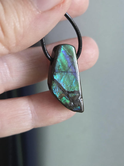 Kleiner feiner Ammolit Opal Anhänger blau grün , aus Kanada, 28 x 12 x 8 mm, gebohrt, an verstellbarem Lederband