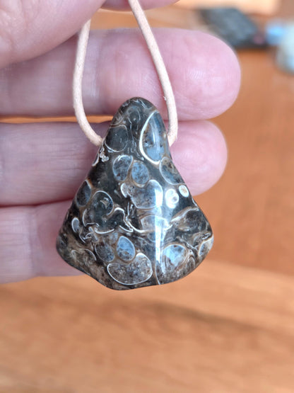 Turitella Achat Jaspis, Schnecken Muschel Fossil Jaspis in Chalcedon, Anhänger, 47 x 18 x 4 mm, gebohrt, an Lederband, FO Wyoming