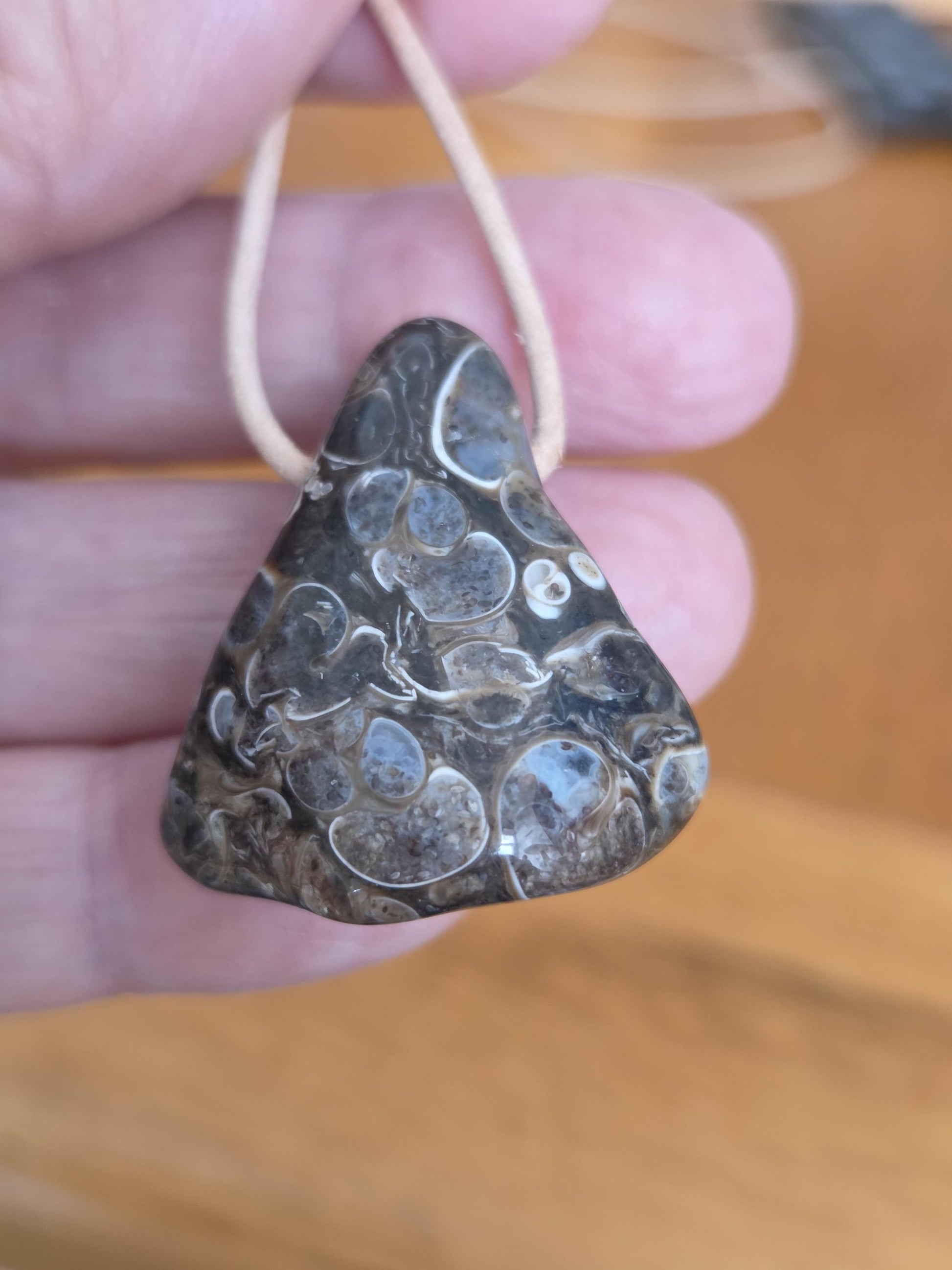 Turitella Achat Jaspis, Schnecken Muschel Fossil Jaspis in Chalcedon, Anhänger, 47 x 18 x 4 mm, gebohrt, an Lederband, FO Wyoming