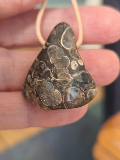 Turitella Achat Jaspis, Schnecken Muschel Fossil Jaspis in Chalcedon, Anhänger, 47 x 18 x 4 mm, gebohrt, an Lederband, FO Wyoming