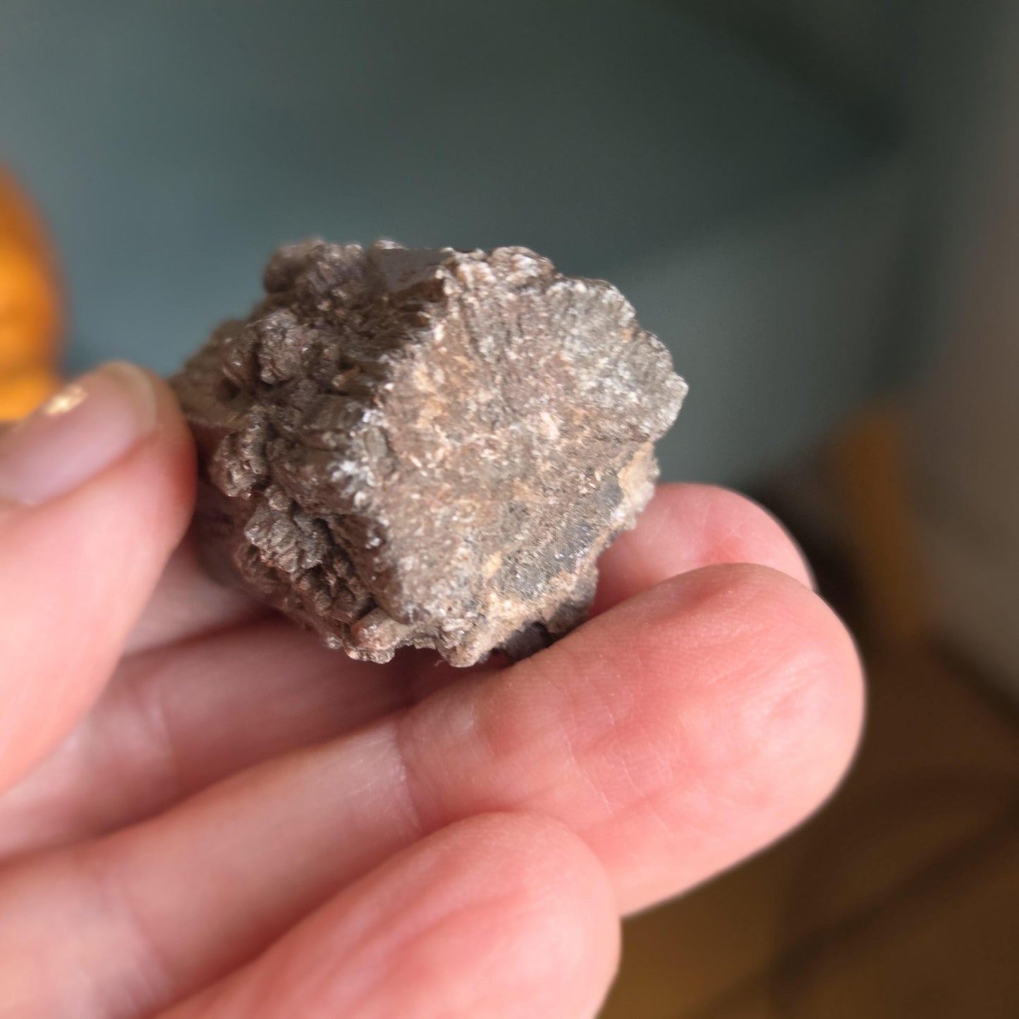 Rarität! Versteinertes Holz mit Aragonit Anhängseln, 35 x 25 x 25 mm, 31,06 g., 155,25 ct., Mineral Sammlerstein , Stufe, Toskana