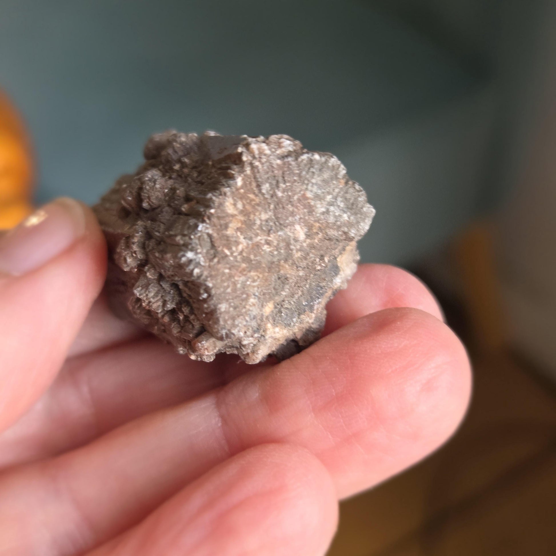 Rarität! Versteinertes Holz mit Aragonit Anhängseln, 35 x 25 x 25 mm, 31,06 g., 155,25 ct., Mineral Sammlerstein , Stufe, Toskana