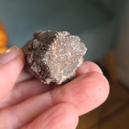 Rarität! Versteinertes Holz mit Aragonit Anhängseln, 35 x 25 x 25 mm, 31,06 g., 155,25 ct., Mineral Sammlerstein , Stufe, Toskana