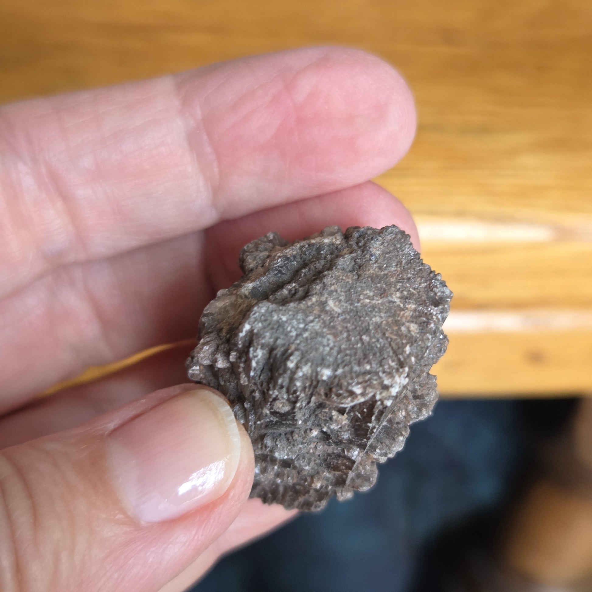 Rarität! Versteinertes Holz mit Aragonit Anhängseln, 35 x 25 x 25 mm, 31,06 g., 155,25 ct., Mineral Sammlerstein , Stufe, Toskana
