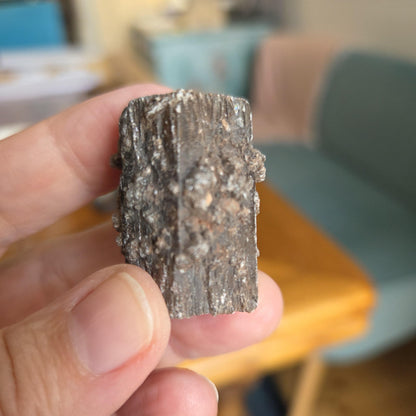 Rarität! Versteinertes Holz mit Aragonit Anhängseln, 35 x 25 x 25 mm, 31,06 g., 155,25 ct., Mineral Sammlerstein , Stufe, Toskana