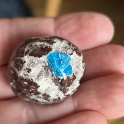 Rarität Cavansit Cavansite, mit Kristall drusy, Neuseeland, Sammlerstein, 30 x 28 x 25 mm, 23,11 g., 115,60 ct