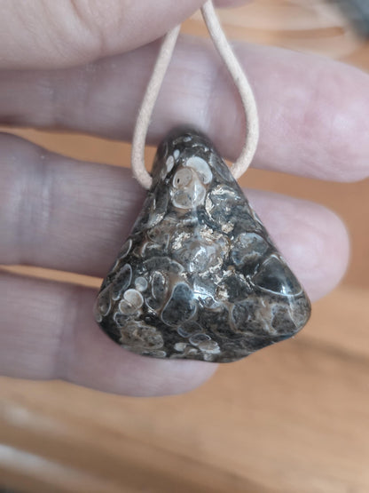 Turitella Achat Jaspis, Schnecken Muschel Fossil Jaspis in Chalcedon, Anhänger, 47 x 18 x 4 mm, gebohrt, an Lederband, FO Wyoming