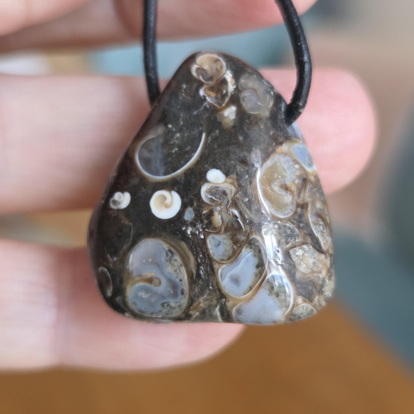 Turitella Achat Jaspis, Schnecken Muschel Fossil Jaspis in Chalcedon, Anhänger, 28 x 25 x 14 mm, gebohrt, an Lederband, FO Wyoming