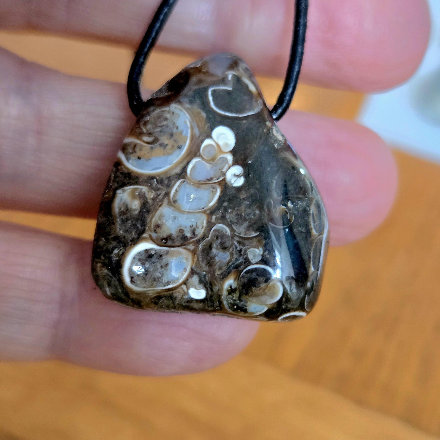 Turitella Achat Jaspis, Schnecken Muschel Fossil Jaspis in Chalcedon, Anhänger, 28 x 25 x 14 mm, gebohrt, an Lederband, FO Wyoming