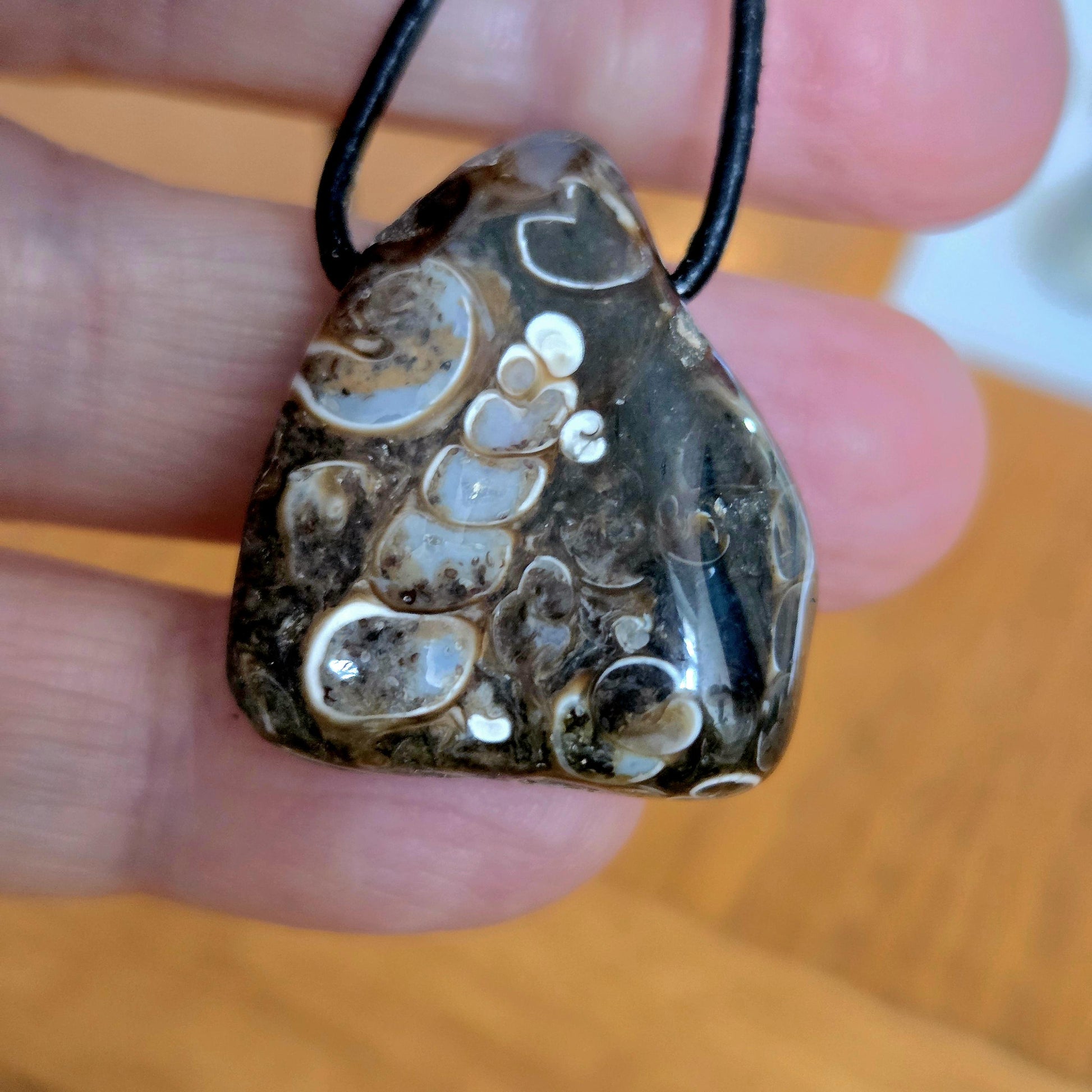 Turitella Achat Jaspis, Schnecken Muschel Fossil Jaspis in Chalcedon, Anhänger, 28 x 25 x 14 mm, gebohrt, an Lederband, FO Wyoming