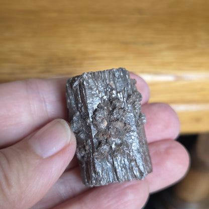 Rarität! Versteinertes Holz mit Aragonit Anhängseln, 35 x 25 x 25 mm, 31,06 g., 155,25 ct., Mineral Sammlerstein , Stufe, Toskana