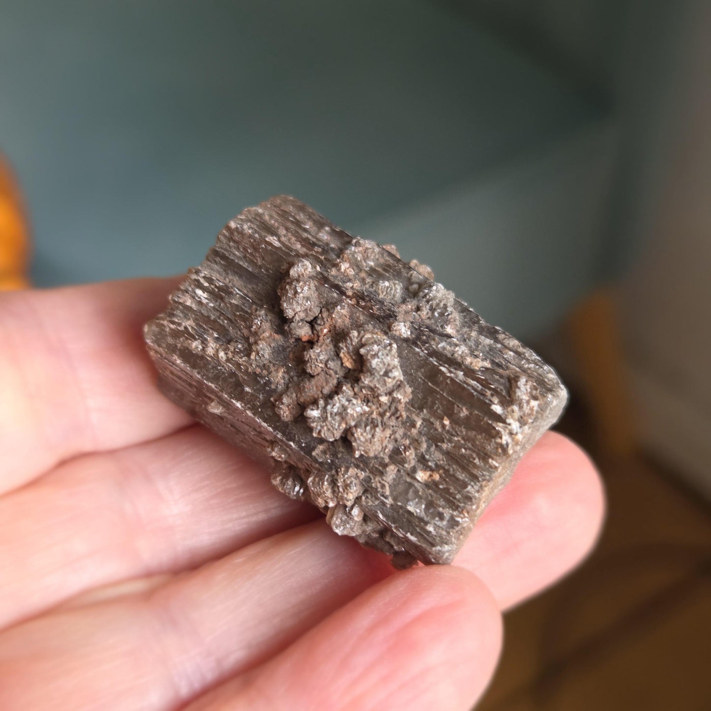 Rarität! Versteinertes Holz mit Aragonit Anhängseln, 35 x 25 x 25 mm, 31,06 g., 155,25 ct., Mineral Sammlerstein , Stufe, Toskana