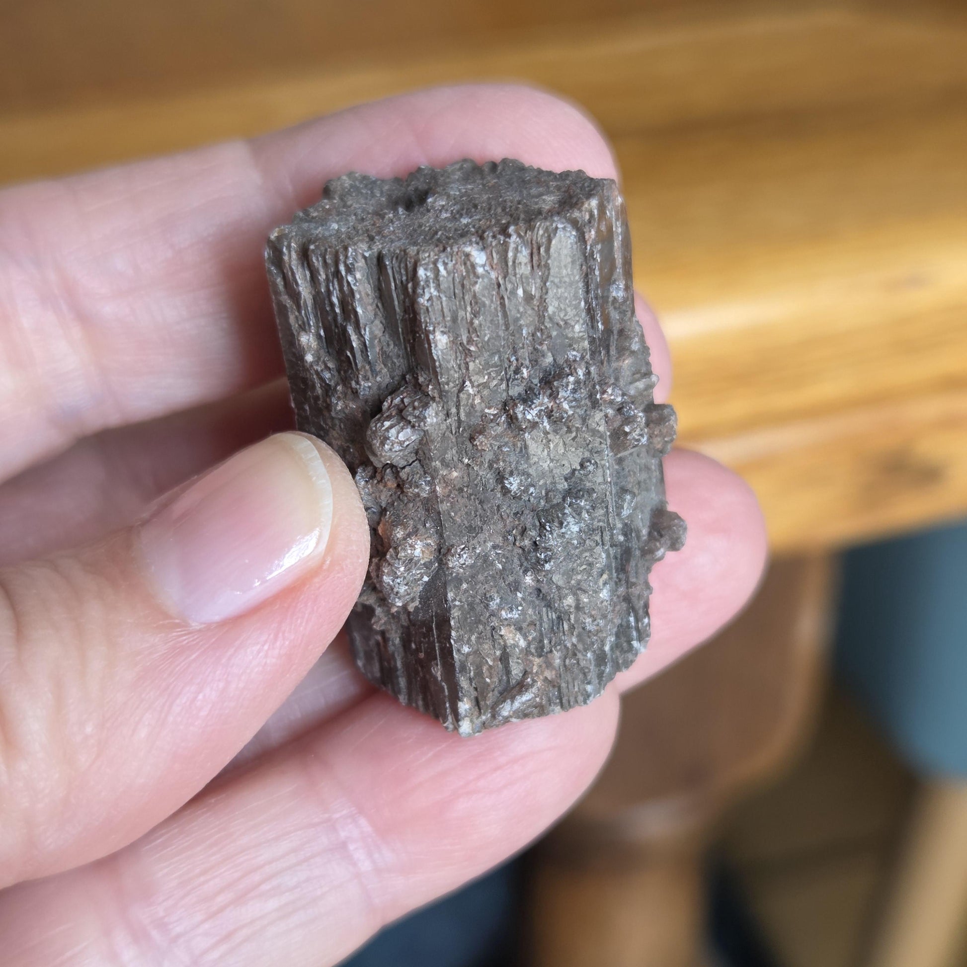 Rarität! Versteinertes Holz mit Aragonit Anhängseln, 35 x 25 x 25 mm, 31,06 g., 155,25 ct., Mineral Sammlerstein , Stufe, Toskana