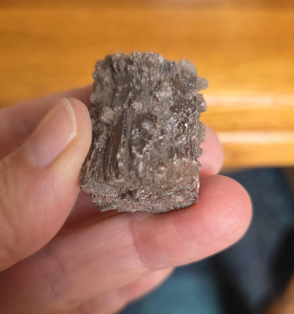 Rarität! Versteinertes Holz mit Aragonit Anhängseln, 35 x 25 x 25 mm, 31,06 g., 155,25 ct., Mineral Sammlerstein , Stufe, Toskana