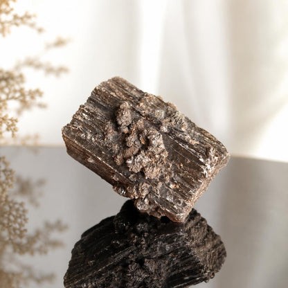 Rarität! Versteinertes Holz mit Aragonit Anhängseln, 35 x 25 x 25 mm, 31,06 g., 155,25 ct., Mineral Sammlerstein , Stufe, Toskana