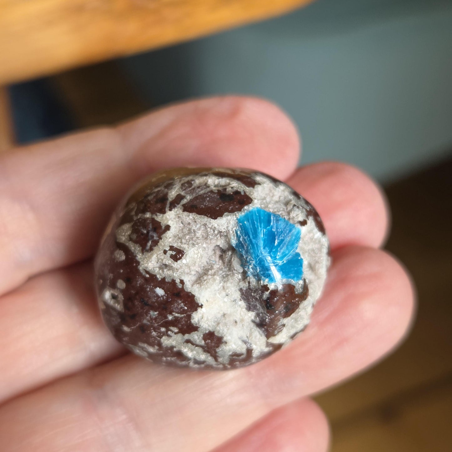 Rarität Cavansit Cavansite, mit Kristall drusy, Neuseeland, Sammlerstein, 30 x 28 x 25 mm, 23,11 g., 115,60 ct