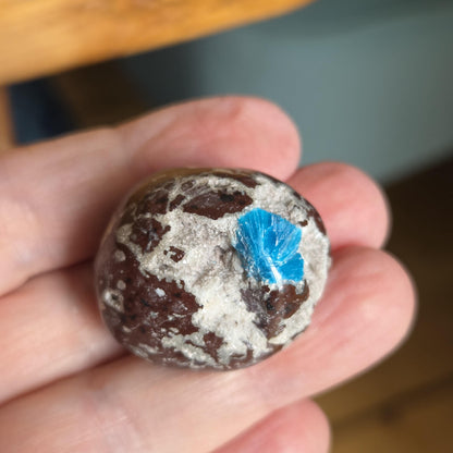 Rarität Cavansit Cavansite, mit Kristall drusy, Neuseeland, Sammlerstein, 30 x 28 x 25 mm, 23,11 g., 115,60 ct