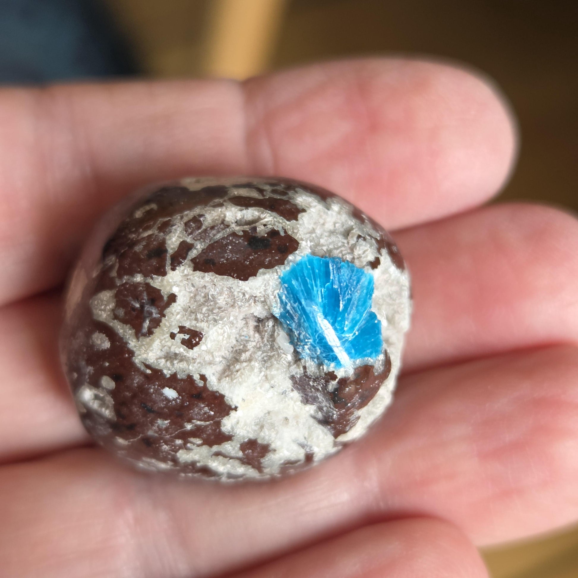 Rarität Cavansit Cavansite, mit Kristall drusy, Neuseeland, Sammlerstein, 30 x 28 x 25 mm, 23,11 g., 115,60 ct